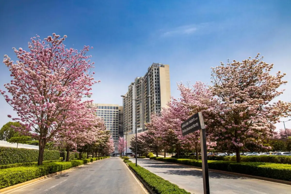 bhartiya boulevard north